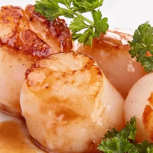 Bbq coquille